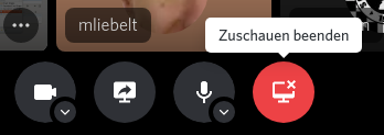 Discord Bildschirmübertragung Teilnehmer beenden